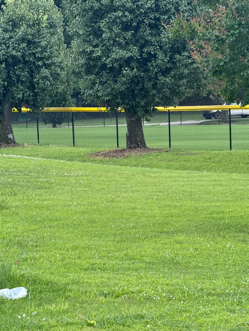 walking near me in Shady Acres Park in summer
