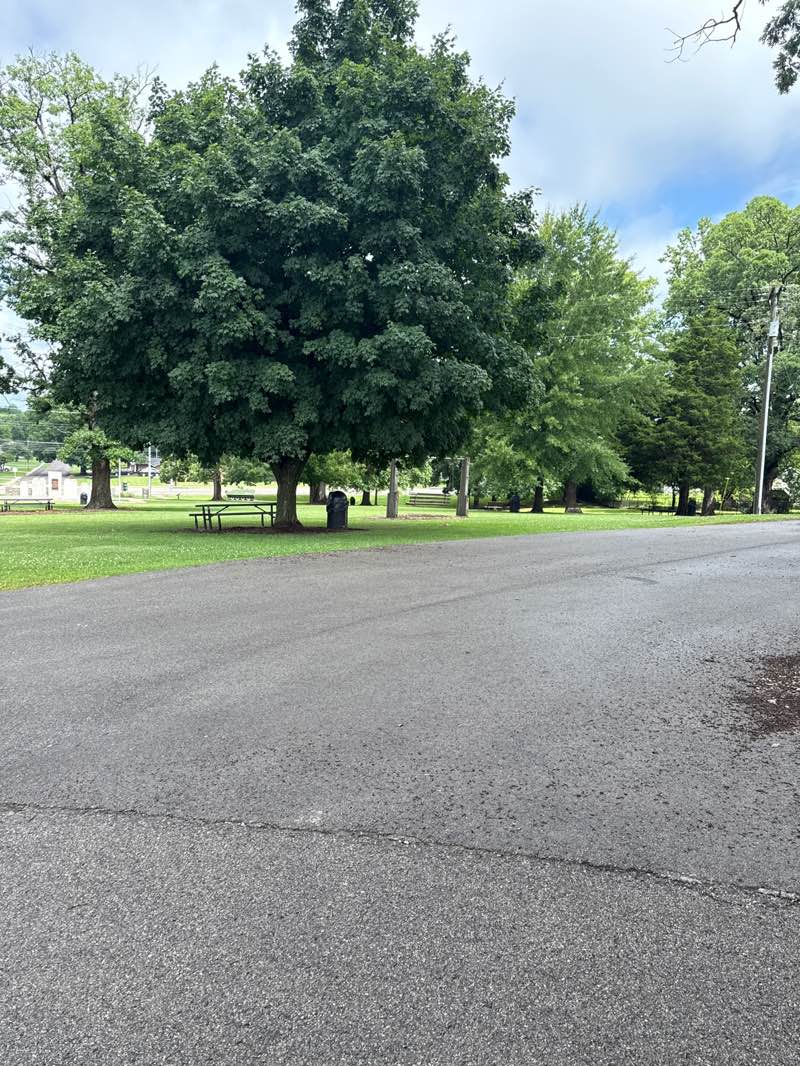 walking near me in American Legion Park in summer