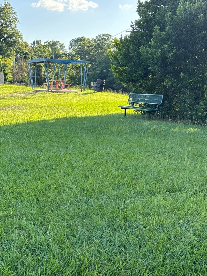 walking near me in Anderson Island Park in summer
