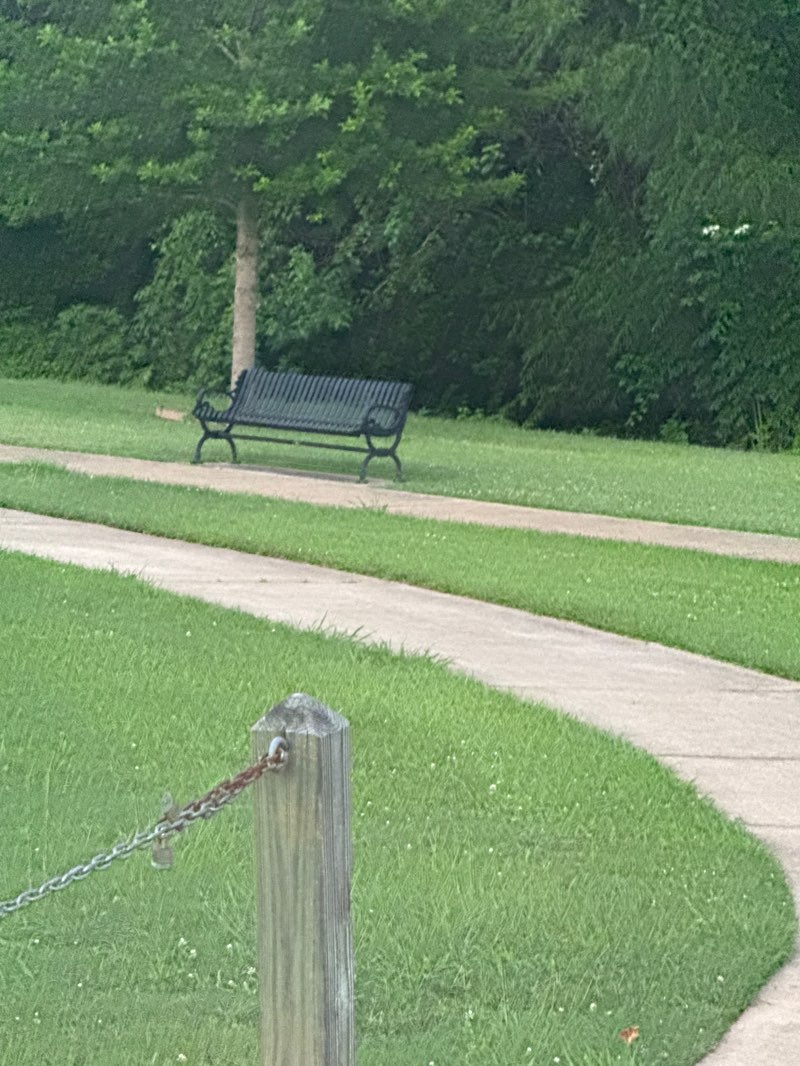 walking near me in Natchitoches City Park in summer