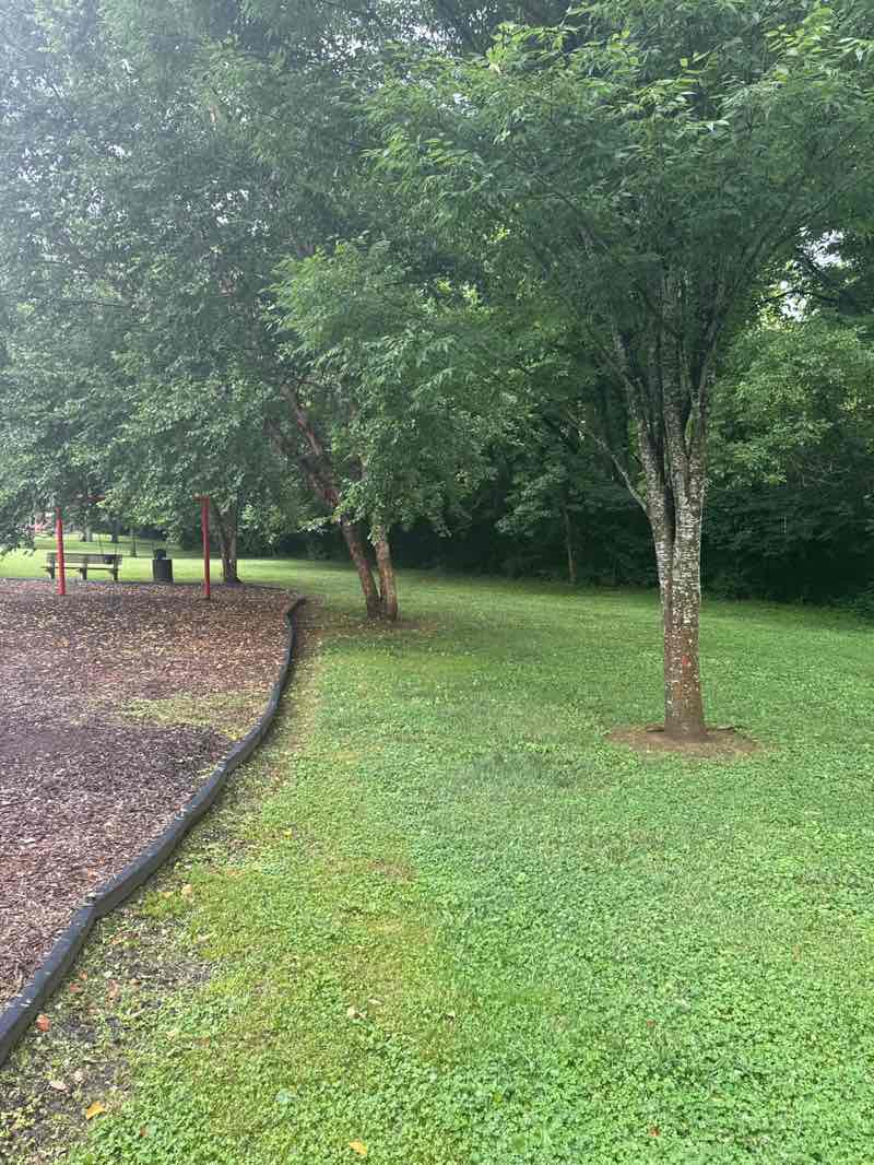 walking near me in Harveytown Park in summer