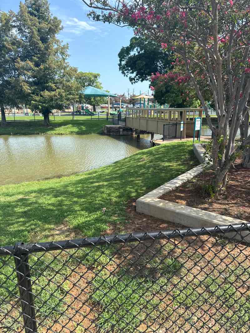 walking near me in Swan Lake Park in summer