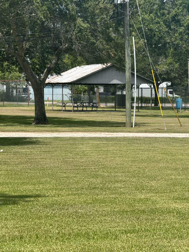 walking near me in Winnie-Stowell Park in summer