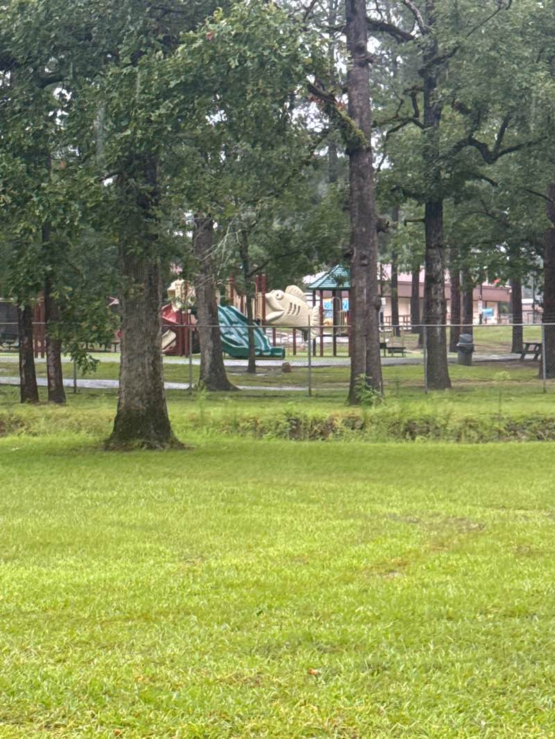 walking near me in Kees Park in summer