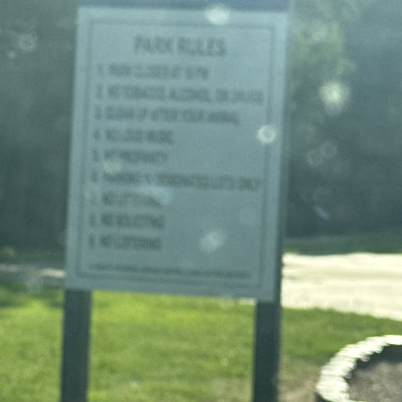 emerlinsquyres post 1