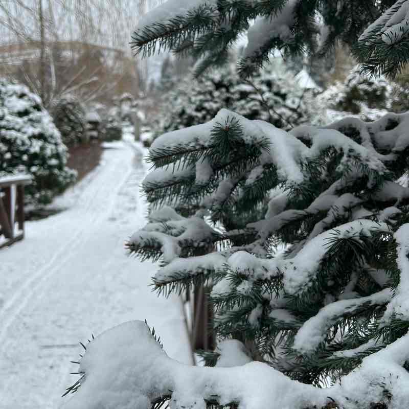 Katie🇺🇦 post 1