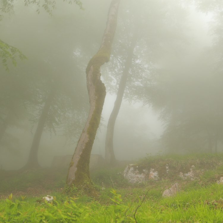 كوهنوردي تهران bijan post image