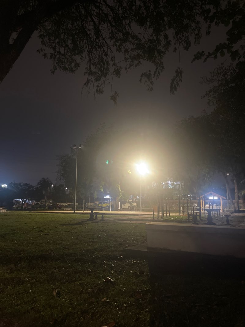 walking near me in SS 4/A6 Park in winter