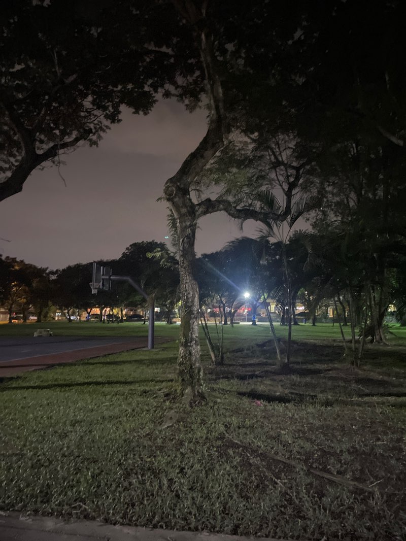 walking near me in Sahara Park in spring