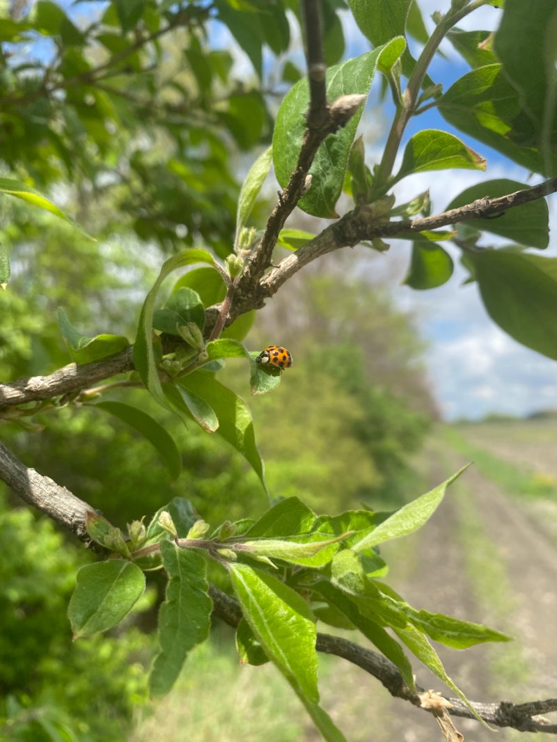 walking near me in Hall Avenue Park in winter
