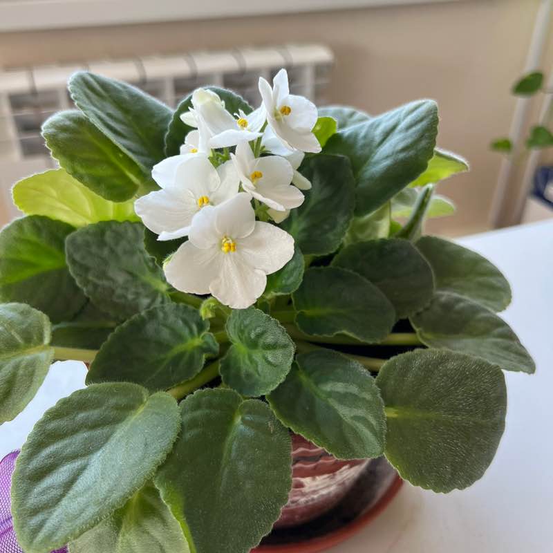 Василий post 3