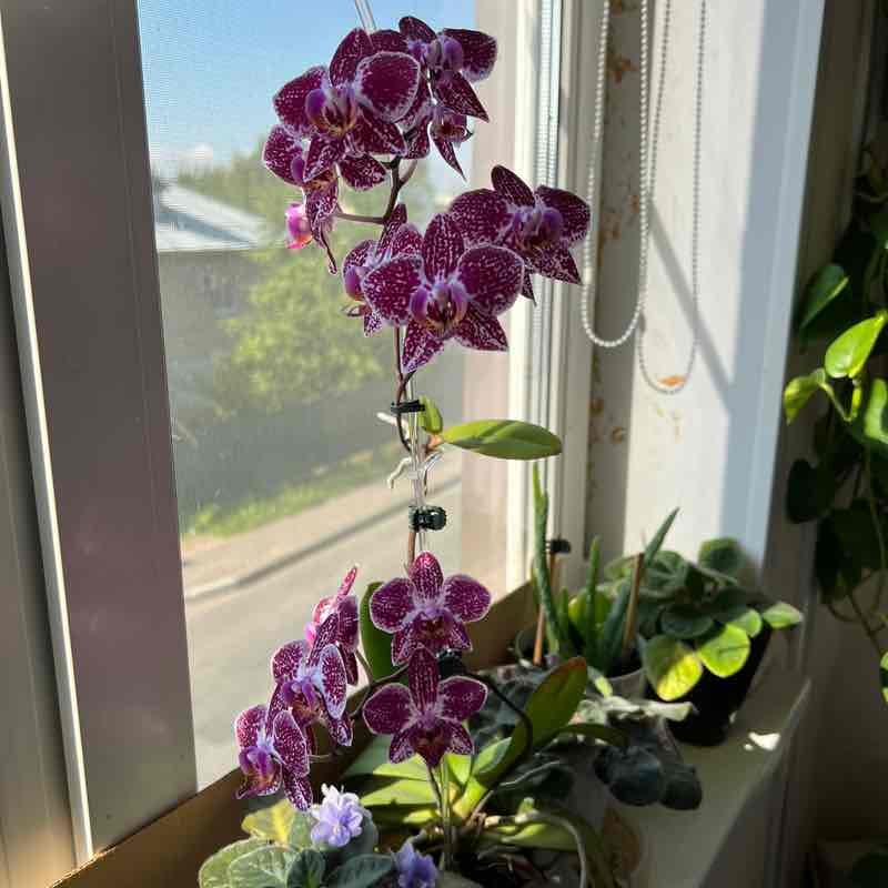 Василий post 2