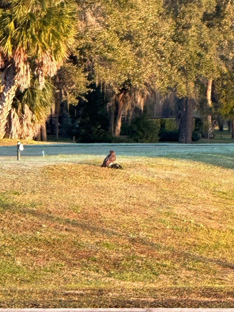 walking near me in Weekiwachee Preserves in winter