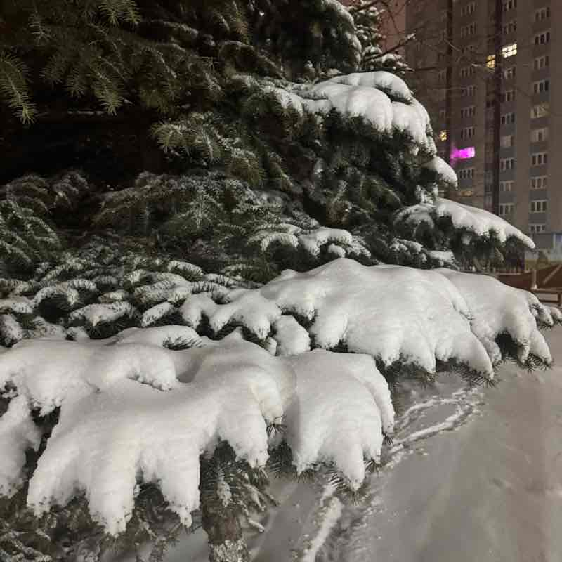 Мы Вместе Ириска 💕🌿☀️🩵 post image