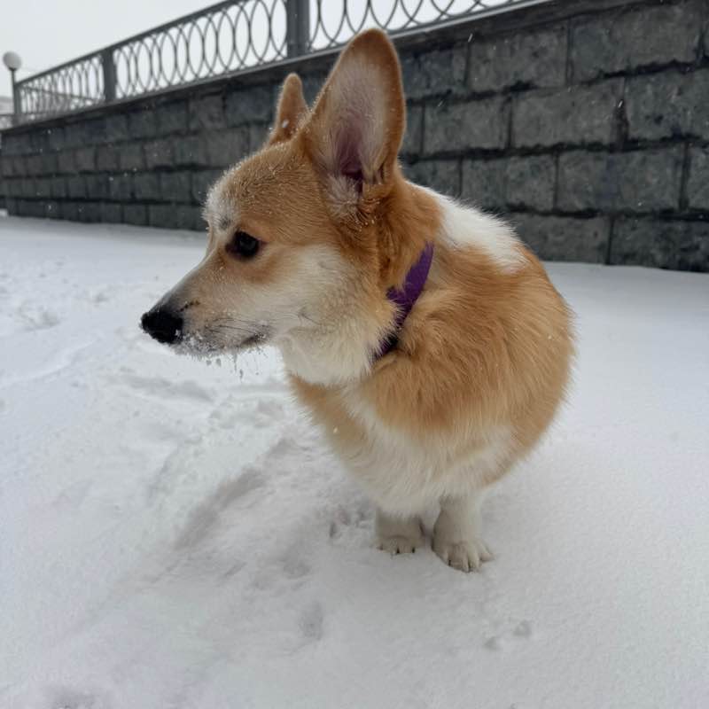 Мы Вместе Ириска 💕🌿☀️🩵 post image