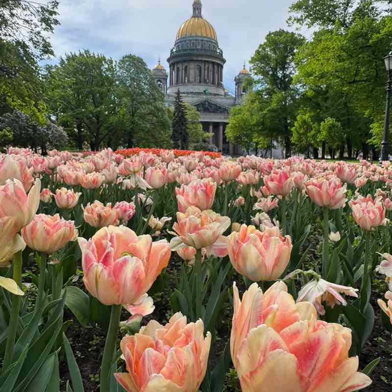 Мы Вместе Ириска 💕🌿☀️🩵 post image