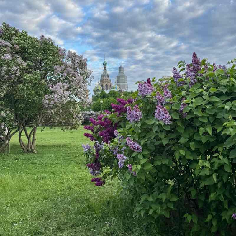 Мы Вместе Ириска 💕🌿☀️🩵 post image