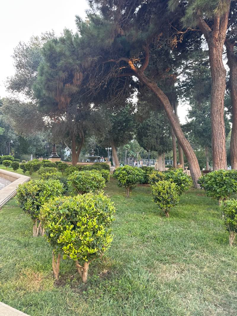 walking near me in Sabir Parkı in autumn