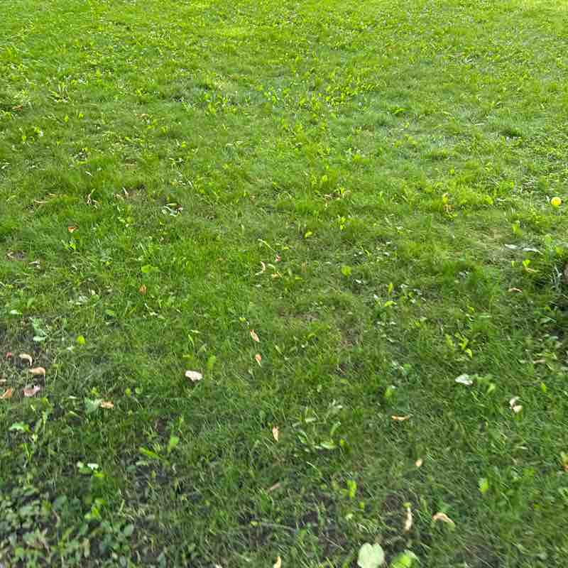 Oleg Strokatyy post 1