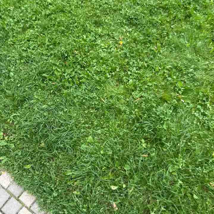 Oleg Strokatyy post 1