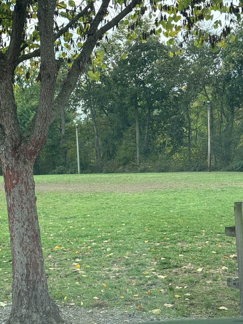 walking near me in Shope Field in autumn