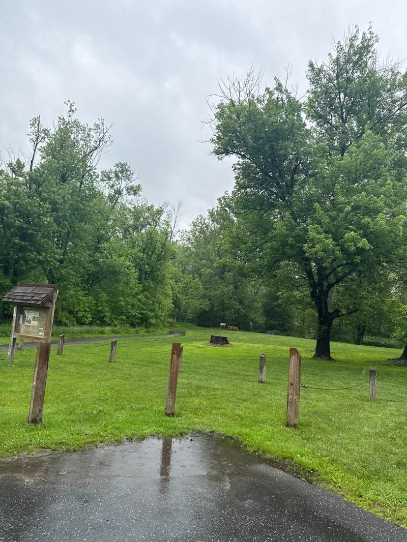walking near me in Schiavoni Park in spring