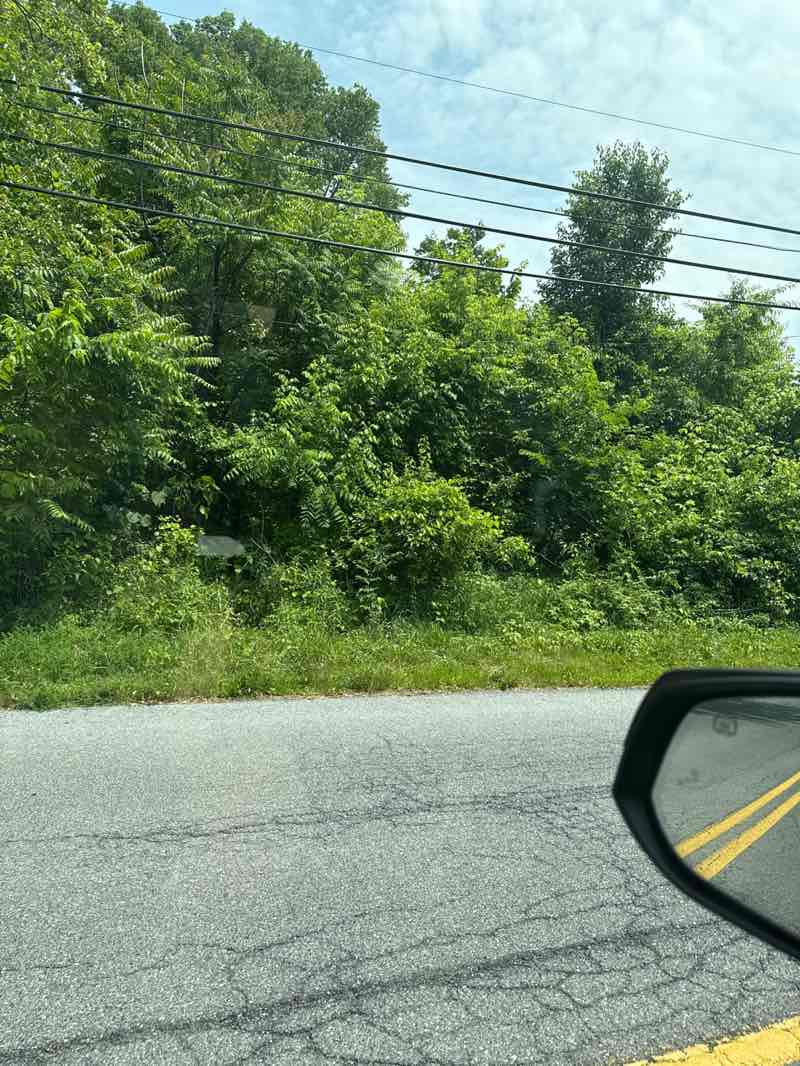 walking near me in Old Swatara Landing Strip in summer