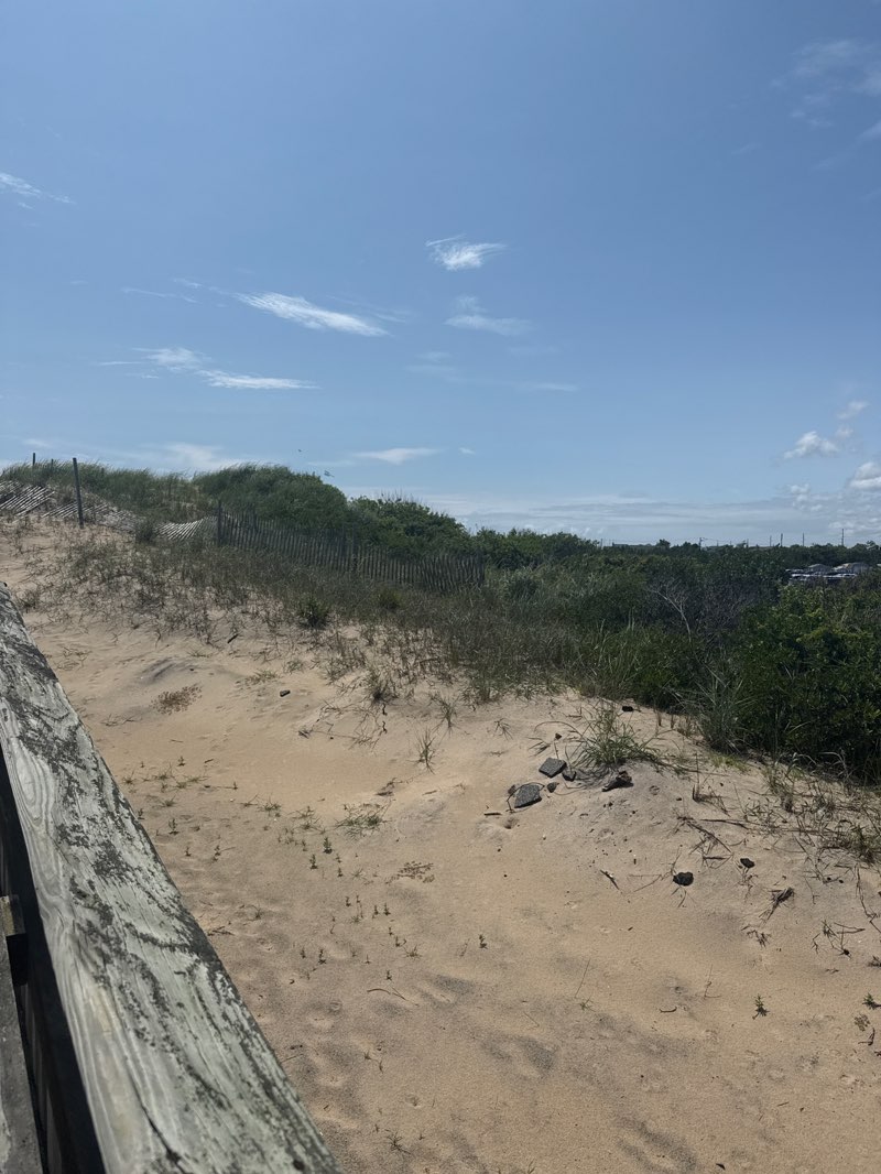 walking near me in Fenwick Island State Park in summer