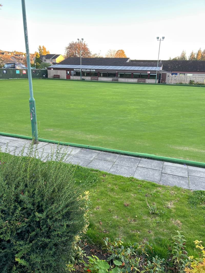 walking near me in Bogbeth Park in autumn
