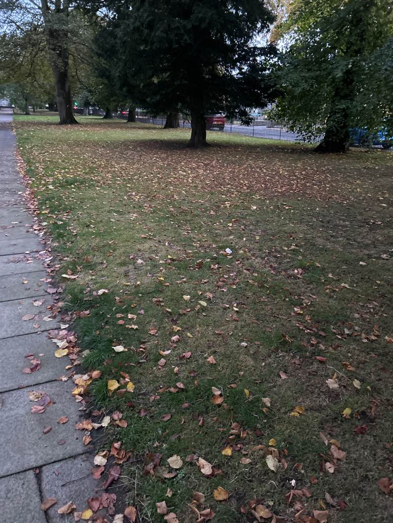 walking near me in Rubislaw Terrace Gardens in autumn