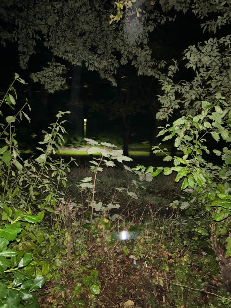 walking near me in Bon Accord Terrace Gardens in autumn