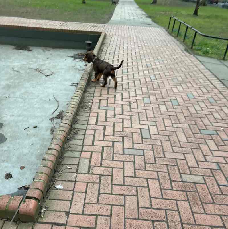 tetz🏴󠁧󠁢󠁳󠁣󠁴󠁿 post 1