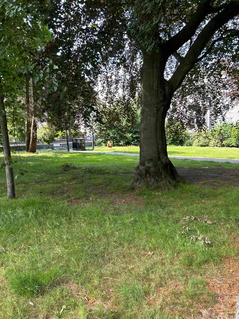 walking near me in Rubislaw Terrace Gardens in summer