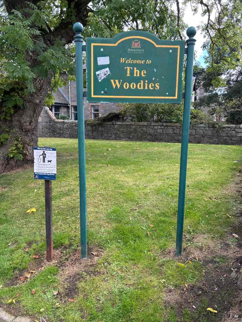 walking near me in The Woodies in autumn