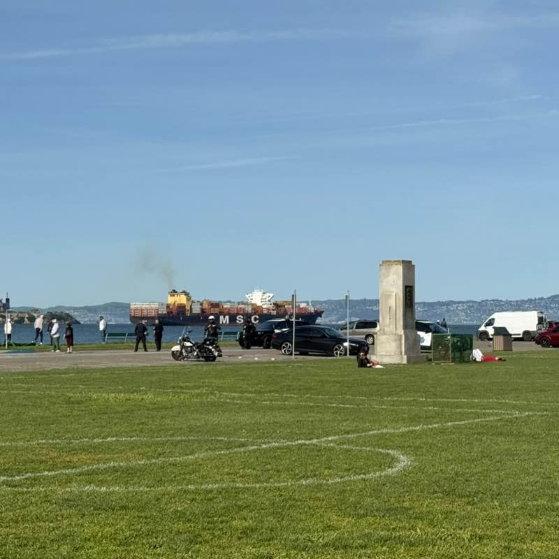 Friends and Family of shadeusf Friends and Family of shadeusf post image