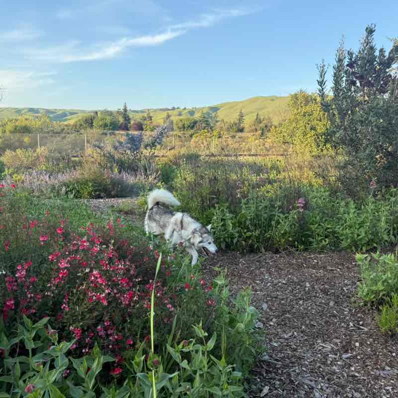 Friends and Family of shadeusf Rica post image