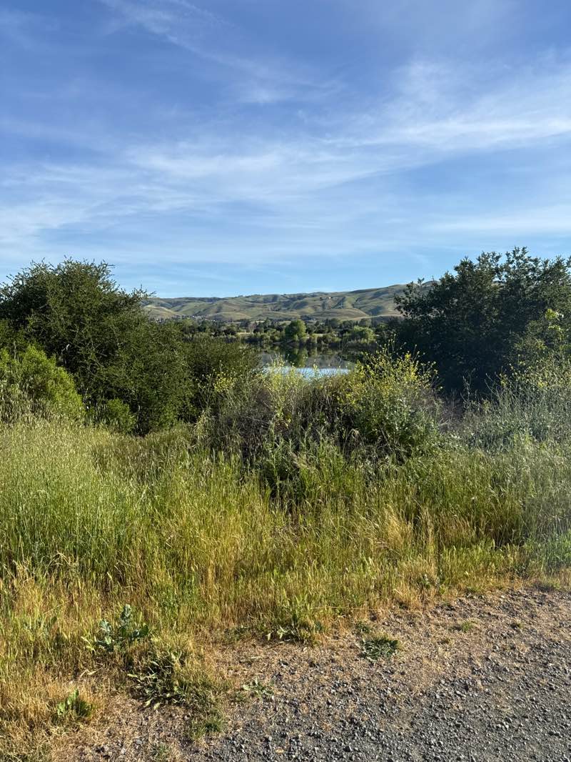 walking near me in Quarry Lakes Regional Park in spring