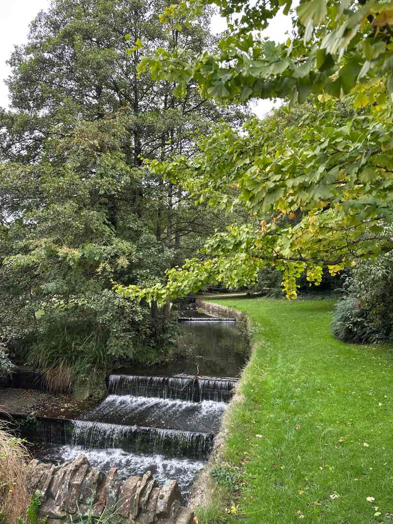 walking near me in Endcliffe Park in autumn