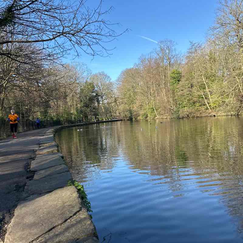 Adriana 🌹🦋🌹🦋🌹 post 1