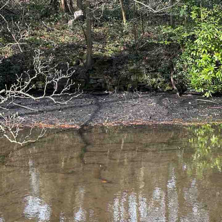 Adriana 🌹🦋🌹🦋🌹 post 2