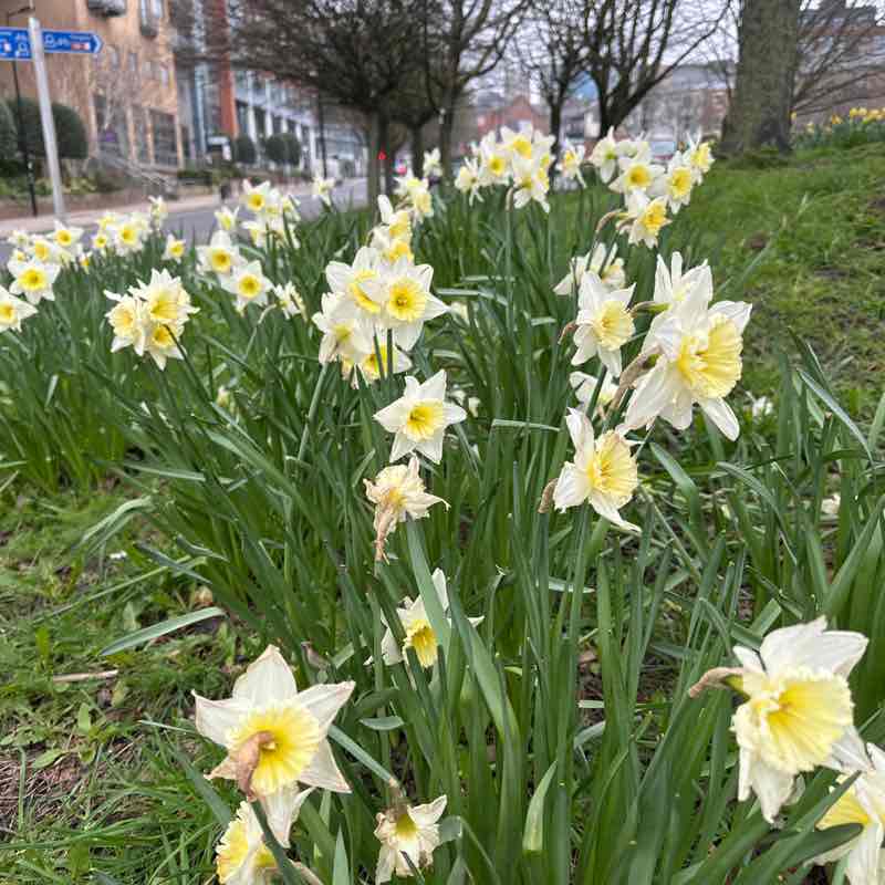 Adriana 🌹🦋🌹🦋🌹 post 1