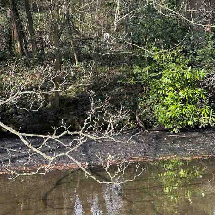 Adriana 🌹🦋🌹🦋🌹 post 1