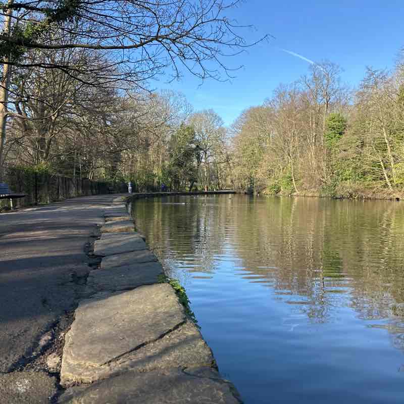 Adriana 🌹🦋🌹🦋🌹 post 2