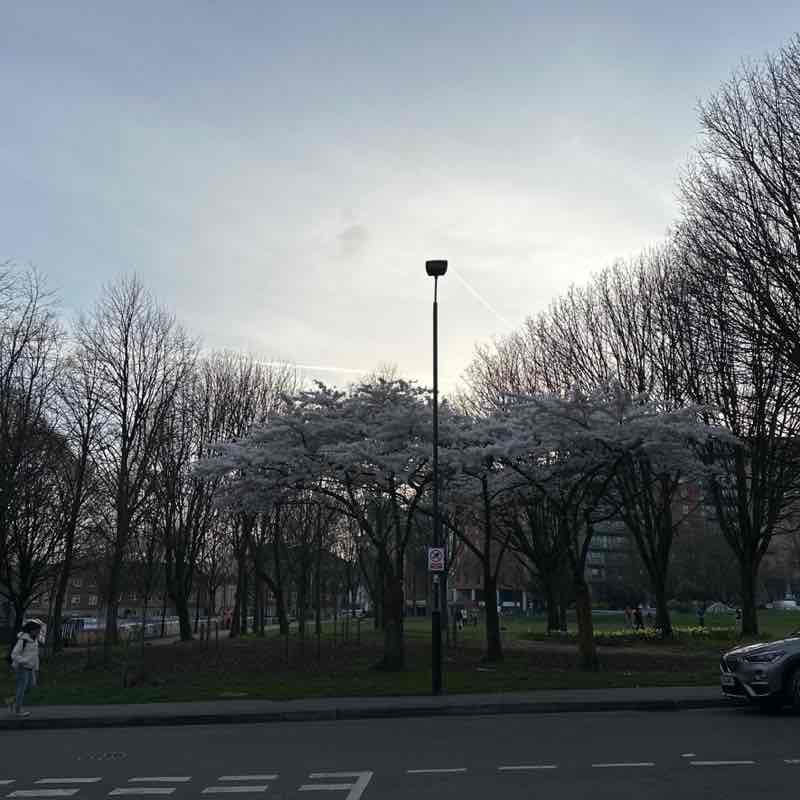 Adriana 🌹🦋🌹🦋🌹 post 1