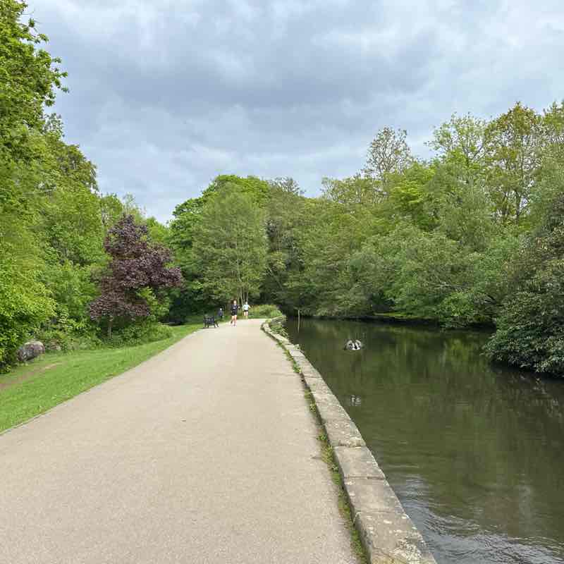 Adriana 🌹🦋🌹🦋🌹 post 1