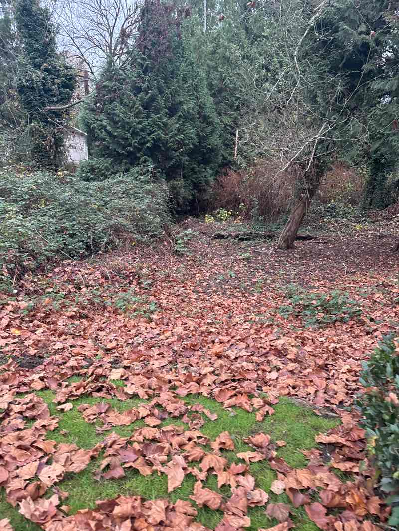 walking near me in Highland Park in autumn