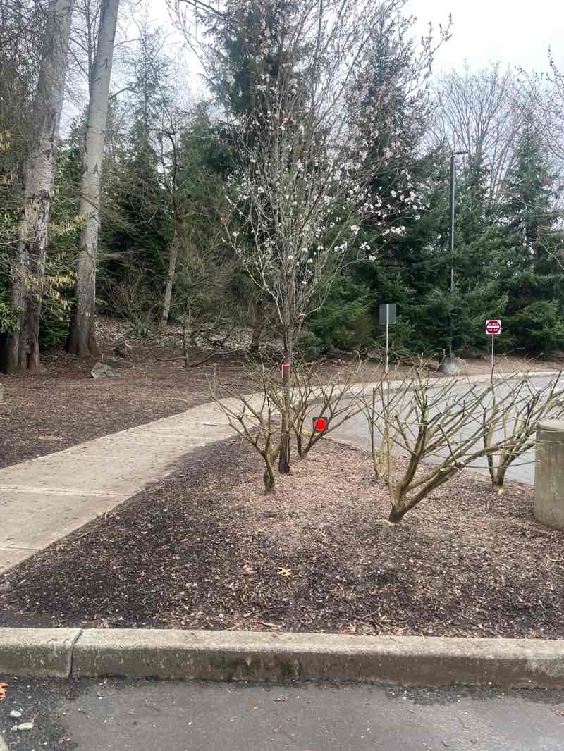 walking near me in Hidden Valley Sports Park in spring