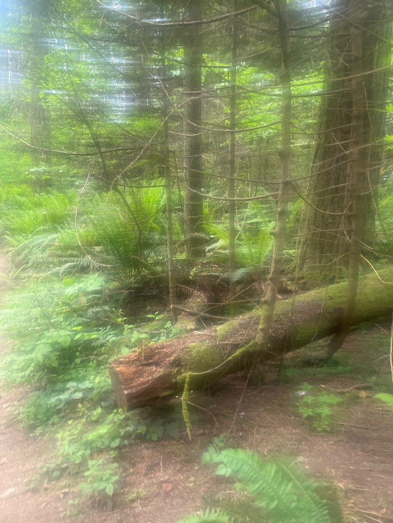 walking near me in Paradise Valley Conservation Area in spring