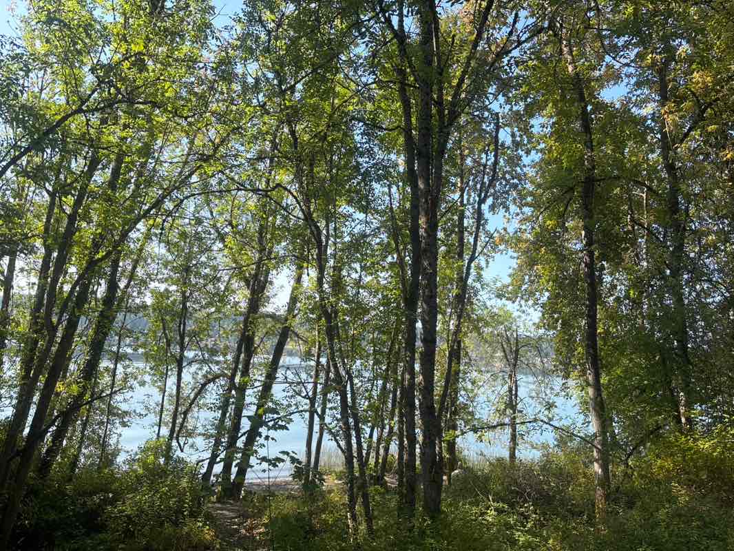 walking near me in Sammamish Landing in autumn