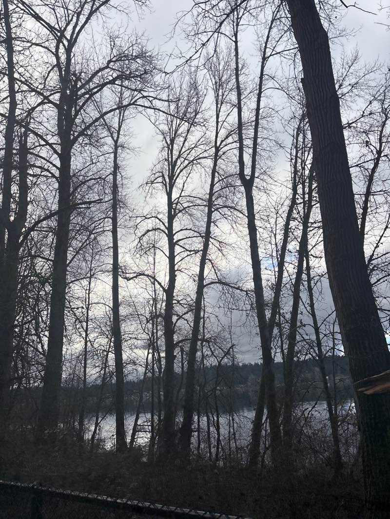 walking near me in Sammamish Landing in winter